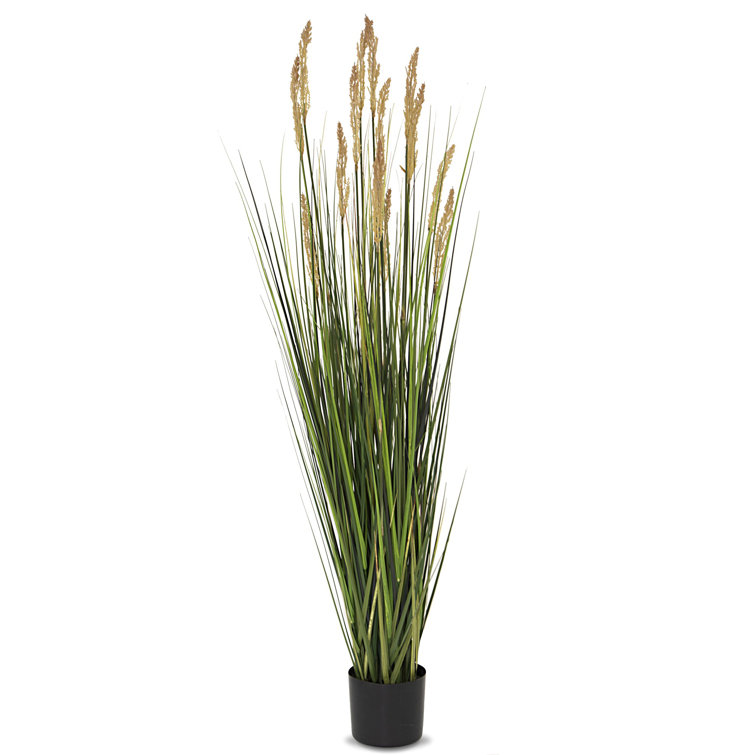 The Seasonal Aisle 157Cm Artificial Pampas Grass in Pot Wayfair.co.uk
